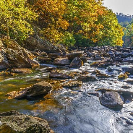 Smokey Bear 1103 Διαμέρισμα Pigeon Forge Εξωτερικό φωτογραφία