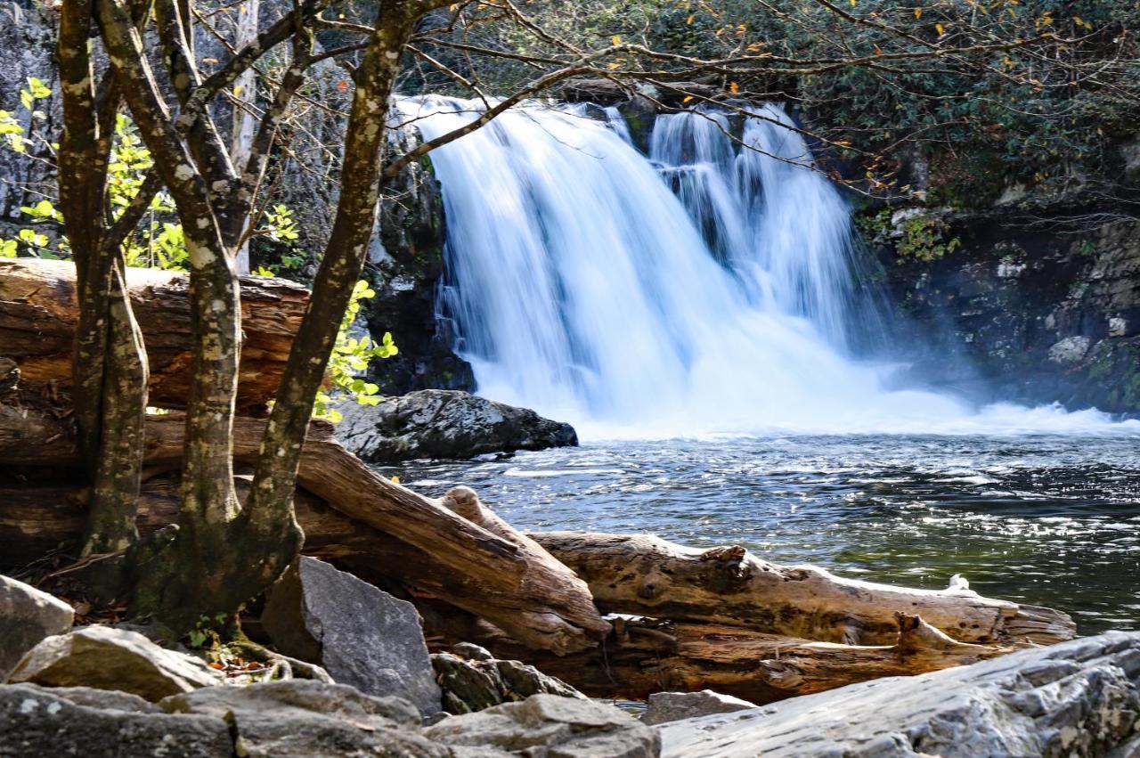 Smokey Bear 1103 Διαμέρισμα Pigeon Forge Εξωτερικό φωτογραφία