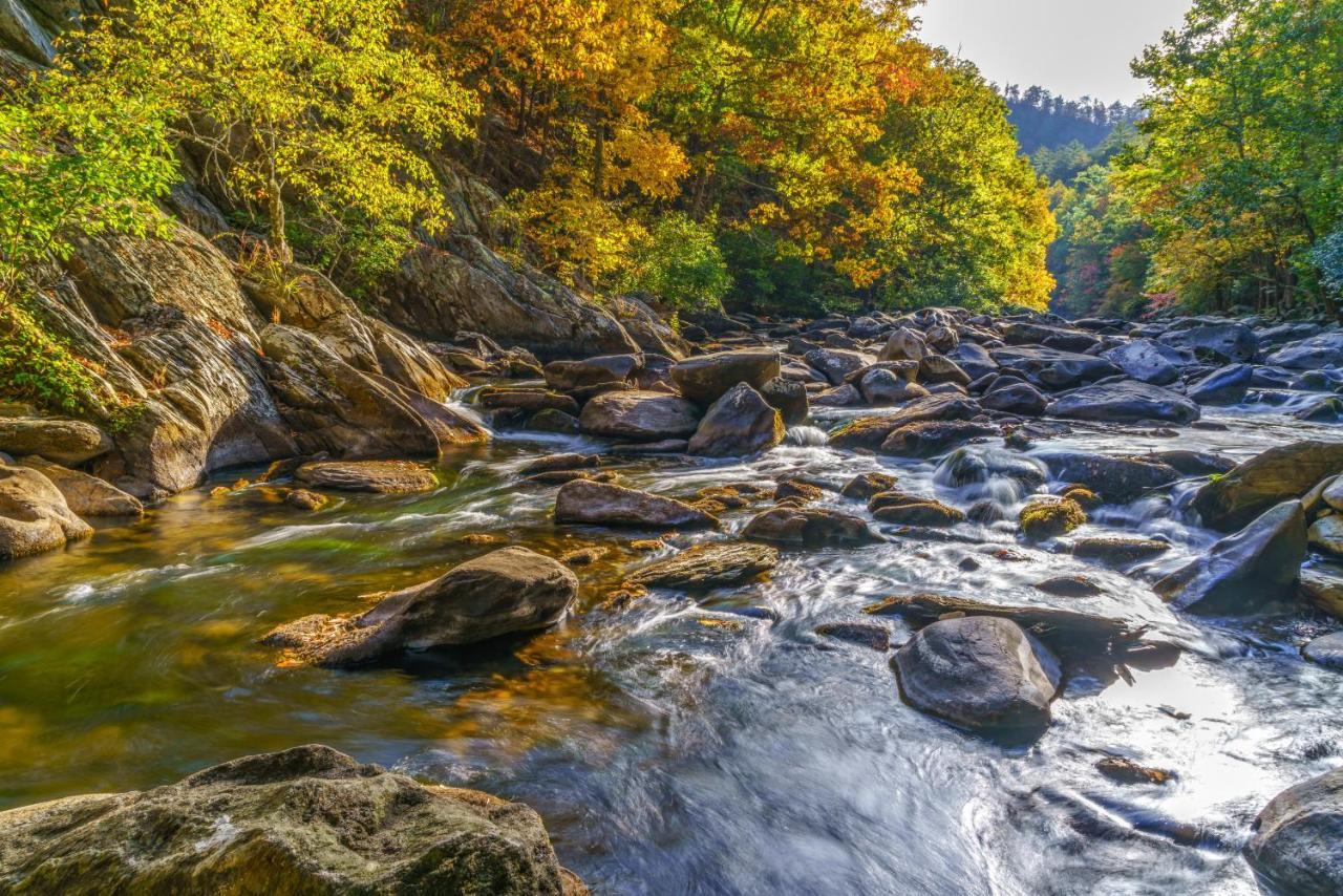 Smokey Bear 1103 Διαμέρισμα Pigeon Forge Εξωτερικό φωτογραφία